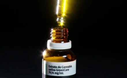 Ribercon - Anvisa aprova cultivo de cannabis por empresas e amplia acesso