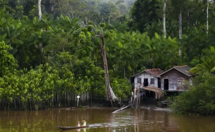 Ribercon - Projeto leva tratamento gratuito a doenças negligenciadas no Amazonas